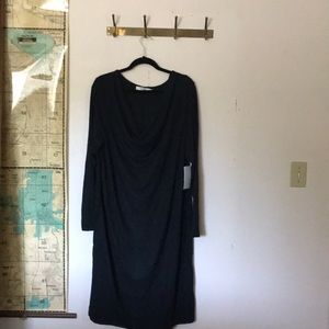 NWT Cowl neck sweater dress
